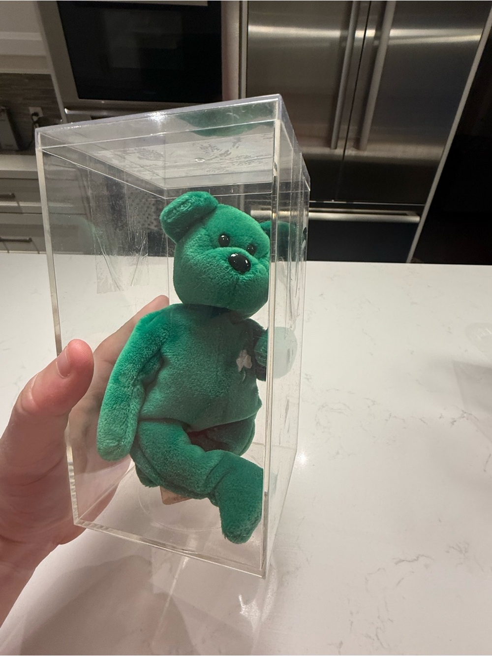 Erin Ty vintage bear with case